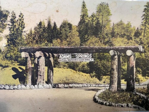 Adam Springs