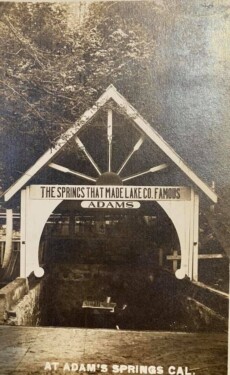 Adam Springs
