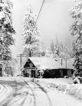 Pine Summit Store