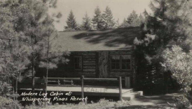 Modern Log Cabin at Whispering Pines Resort